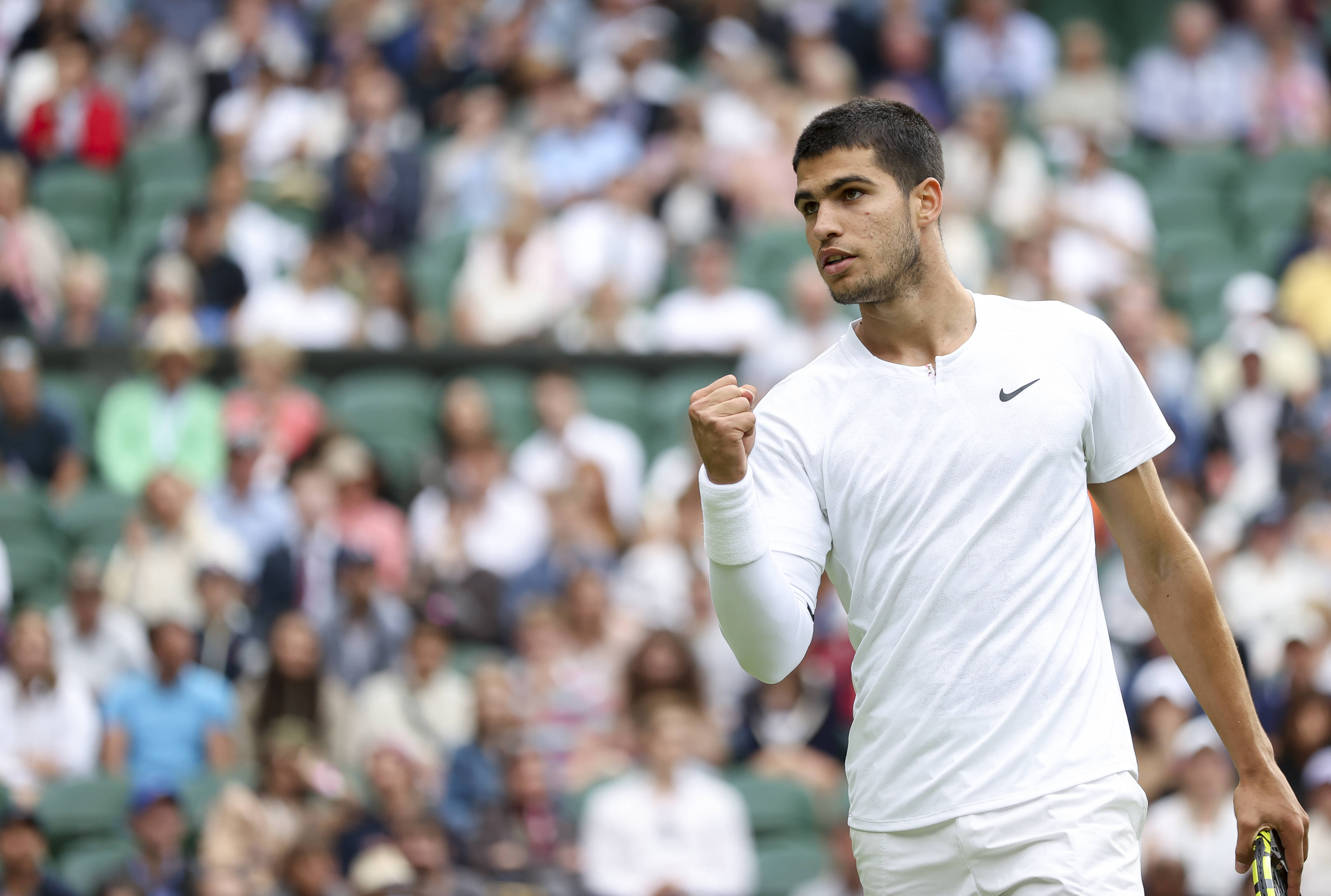 新引进的外 新引进的外