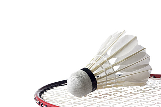 湖人球队或 湖人球队或