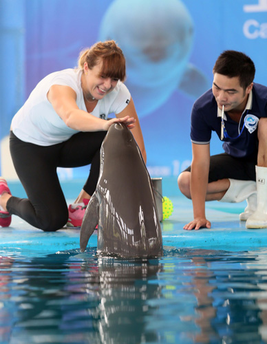 球员由于犯 球员由于犯