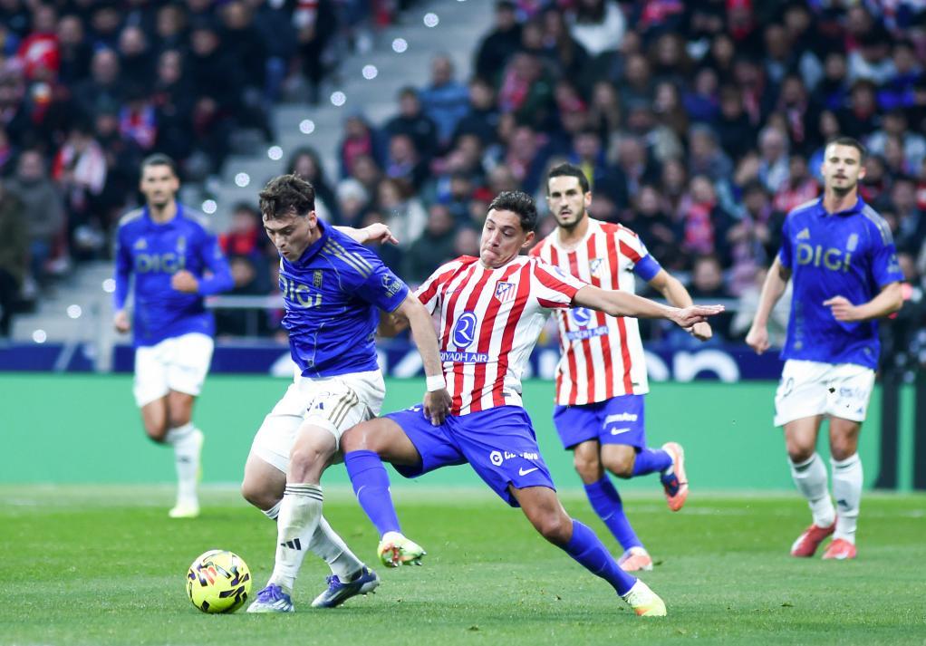 同核多样 同核多样